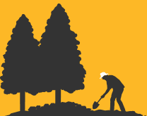 Dig