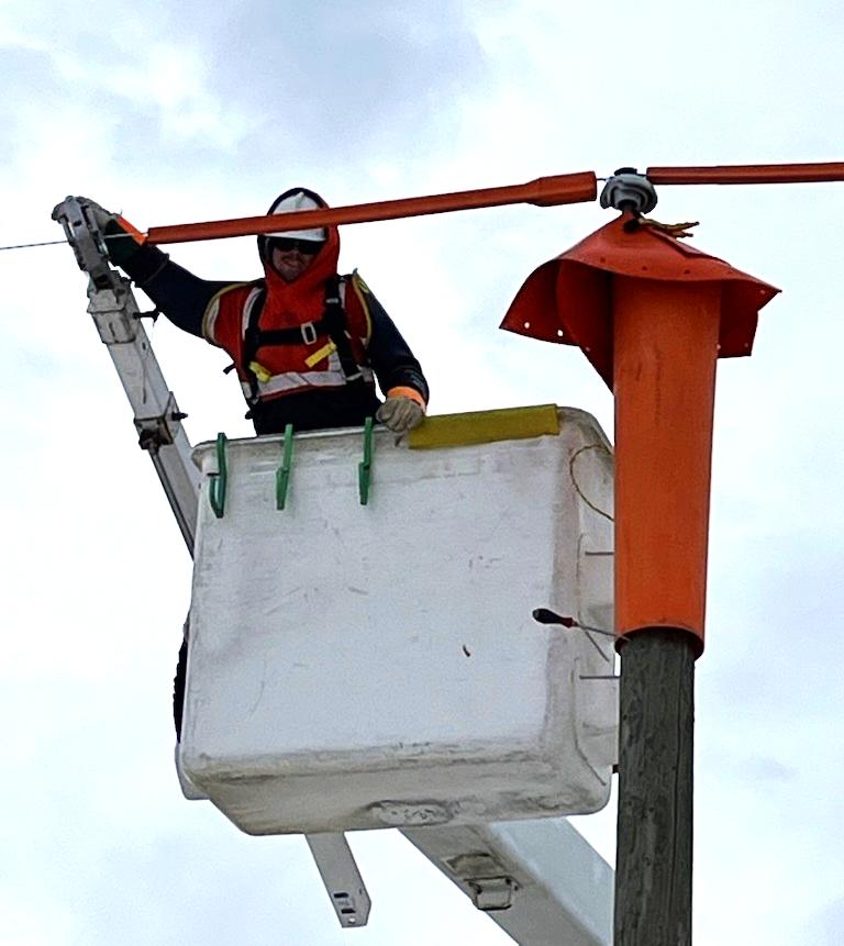 Jarod_2 up the pole