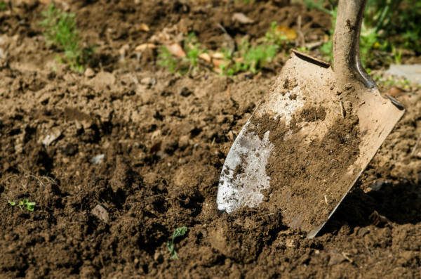 shovel-in-the-ground shovel-in-the-ground