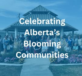 Communities in Bloom