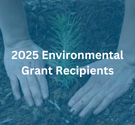 2025 Tree Planting