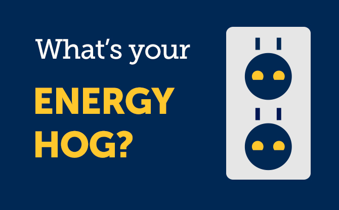 Energy Hog Energy Hog