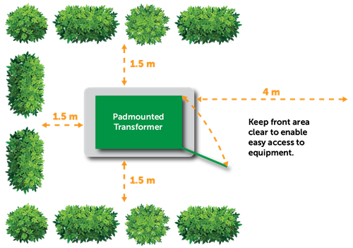 transform your garden transform your garden