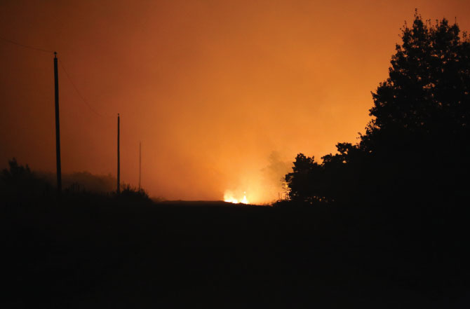 Wildfire-blog-image Wildfire-blog-image