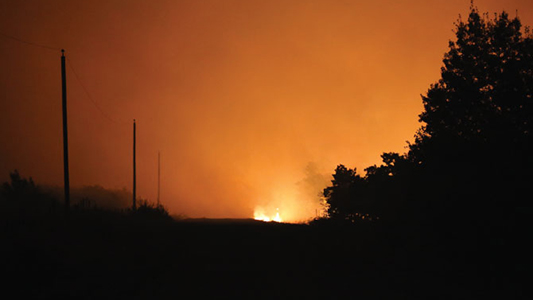 wildfire-blog-image