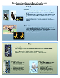 Raptor Guide